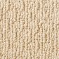 Shaw Powerful Art Carpet in Chamois, , large