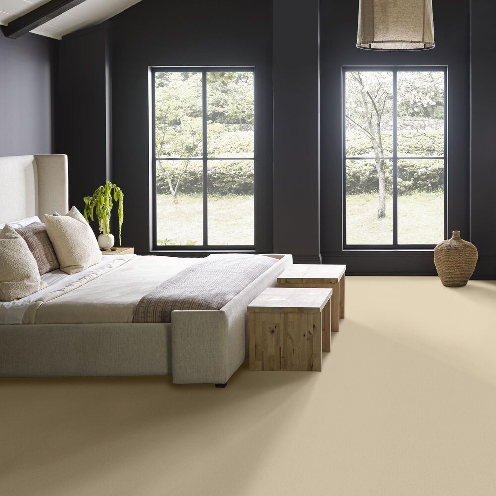 Anderson Tuftex Finery Carpet in Counting Stars, , large