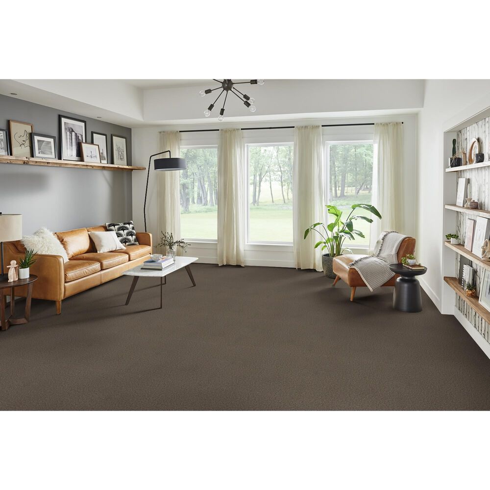 Phenix Capri Carpet in Espresso, , large