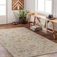 Surya Reina Light Gray, Cream, Denim, Mustard, Rust, Olive and Light Brown 9" x 12"2" Area Rug, , large
