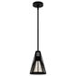 Hunter Rafner 1-Light Mini Pendant in Natural Iron, , large