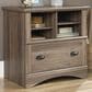 Sauder Harbor View Lateral File in Salt Oak, , large