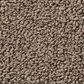 Anderson Tuftex Bali Carpet in Cave, , large
