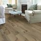 Shaw Reflections White Oak in Wilderness, , large