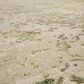 Karastan Memento Reflection 8" x 10"5" Beige Area Rug, , large