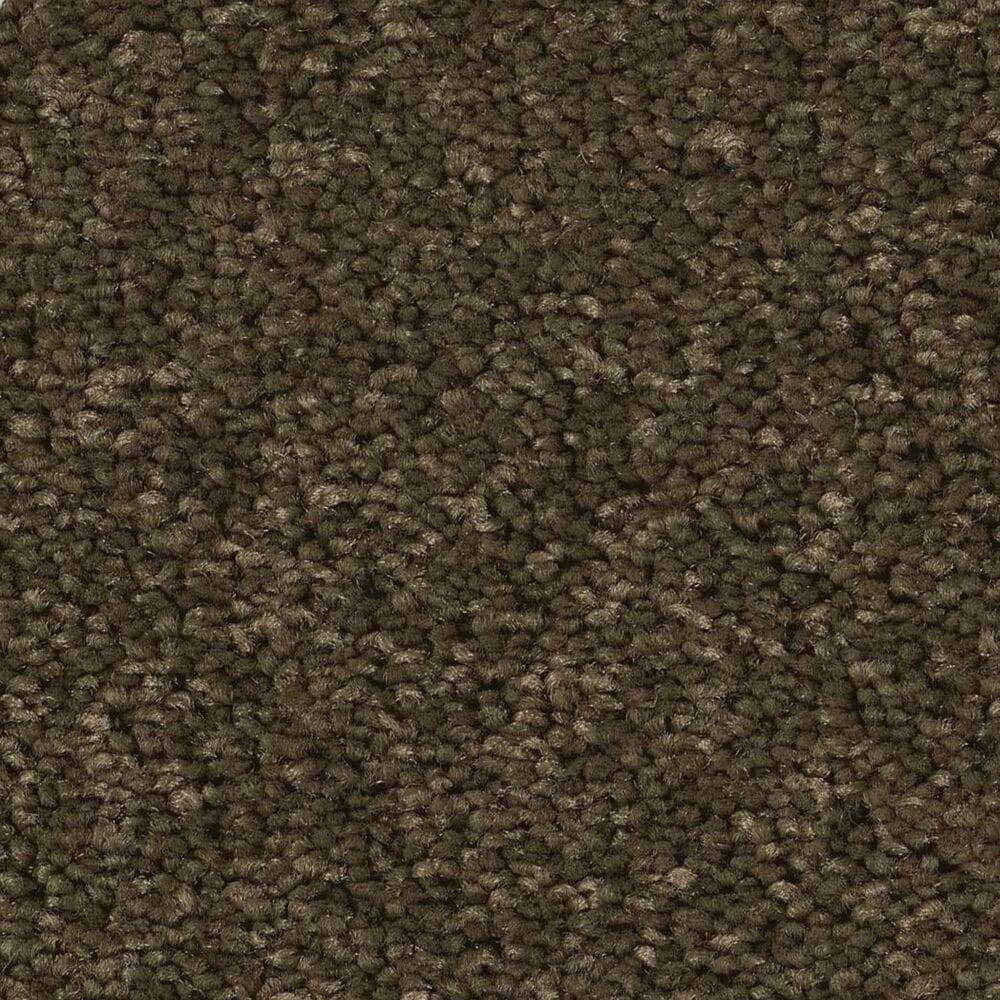 Anderson Tuftex Enduring Charm Carpet in Dark Olive, , large