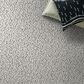 Anderson Tuftex Ambitious Carpet in Granite, , large