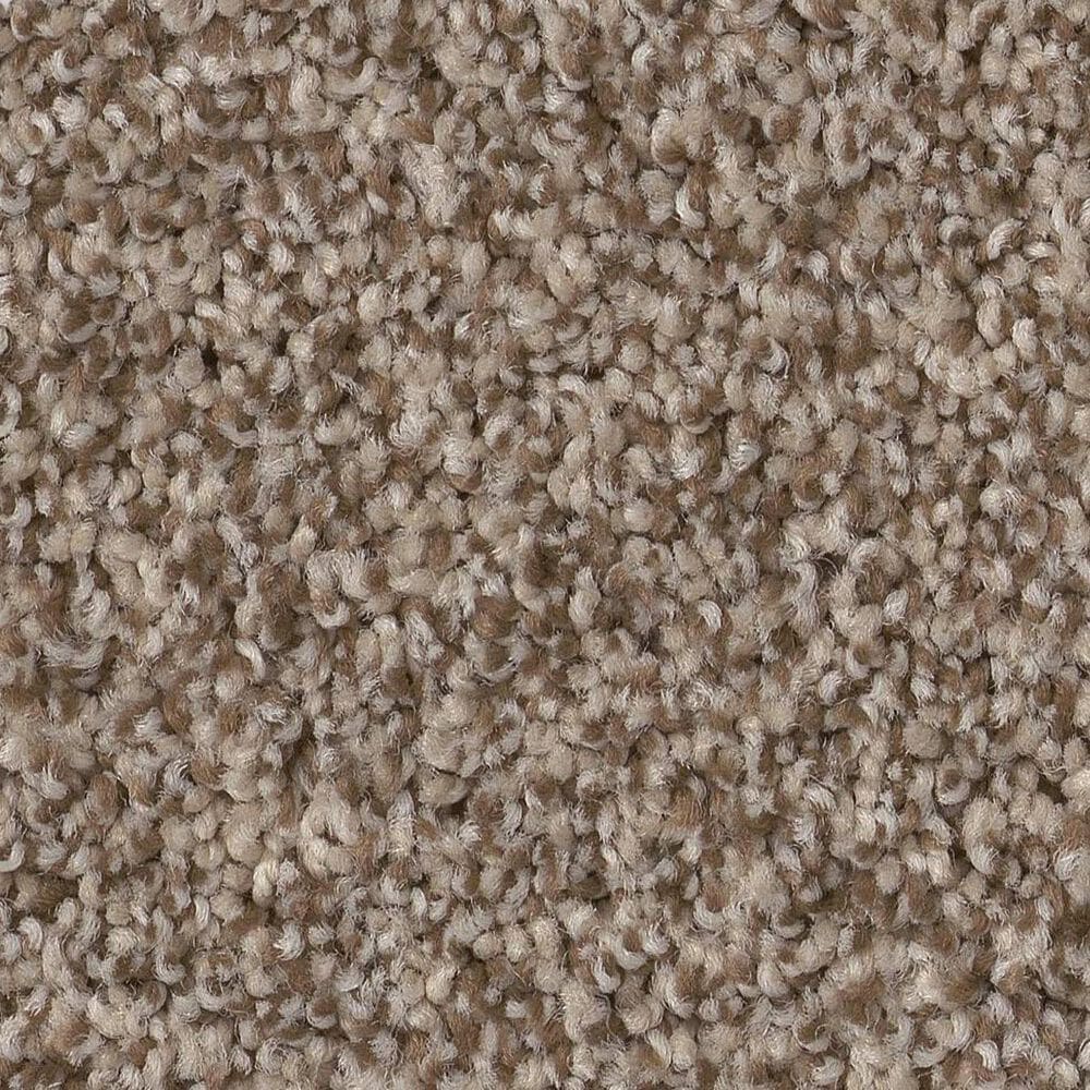 Anderson Tuftex Terra Nova Carpet in Roasted, , large