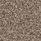 Anderson Tuftex Terra Nova Carpet in Roasted, , large