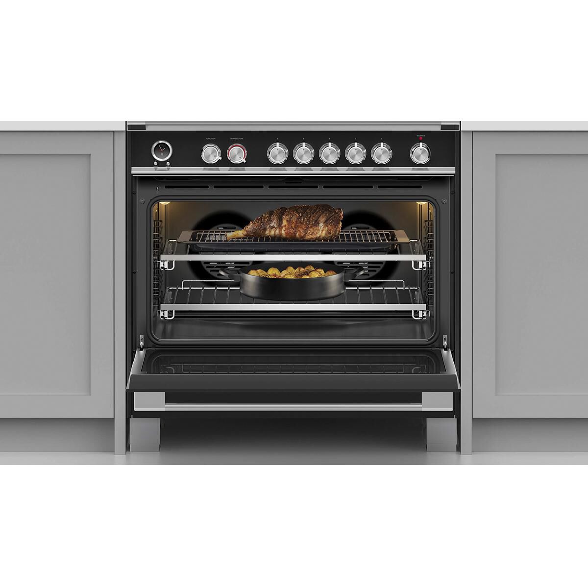 Fisher and paykel online freestanding oven induction