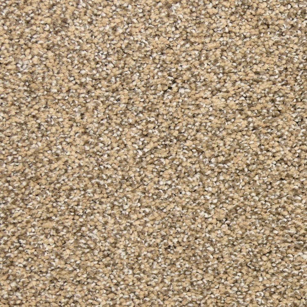 Dixie Home Escalante Carpet in Bronze, , large