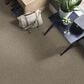 Shaw Detailed Elegance I Carpet in Flax, , large