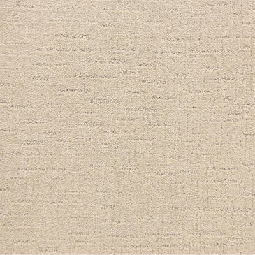 Dixie Home Courage Carpet in Treasure, , large