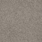 Dixie Home Gentle Wind Carpet in Manatee, , large