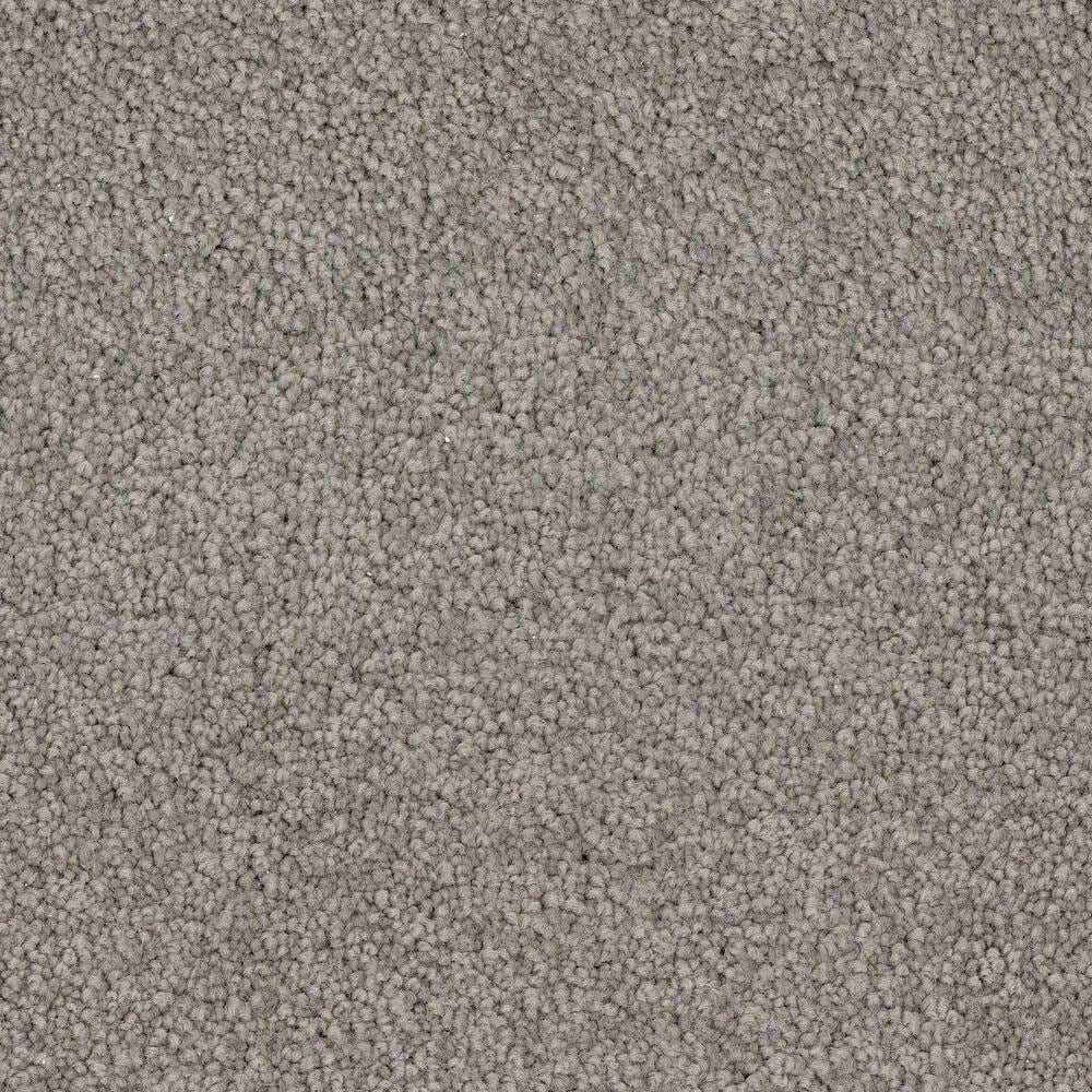 Dixie Home Gentle Wind Carpet in Manatee, , large