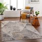 Surya Aida AAD-2308 7"10" x 9"8" Beige, Tan, Gray, Ivory and Medium Gray Area Rug, , large