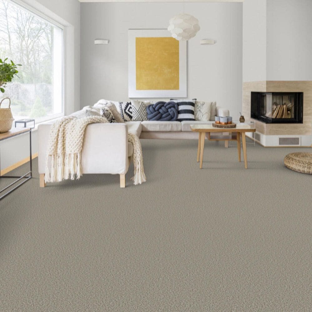 Dixie Home Riverbend Carpet in Shale, , large