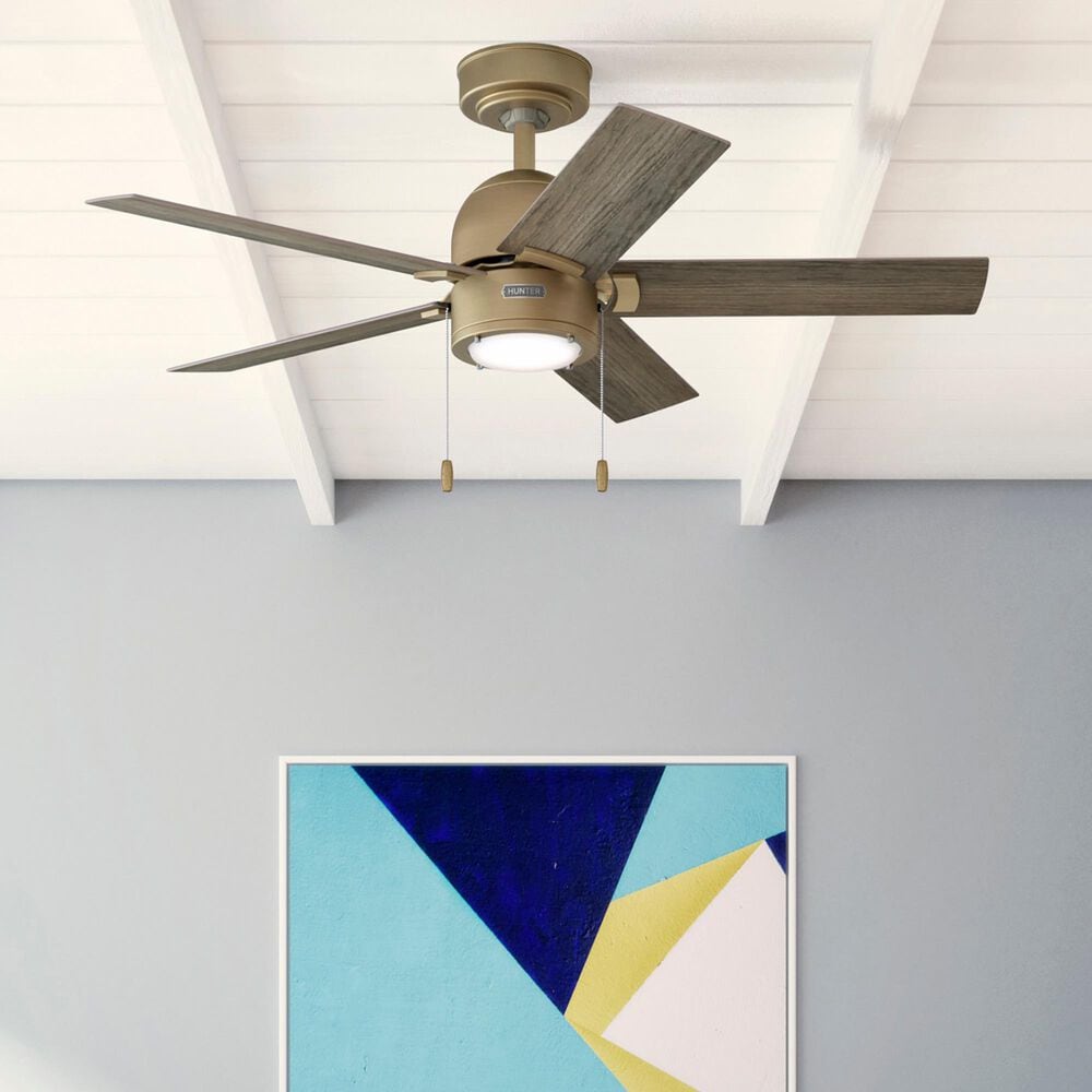 Hunter Erling 44&quot; Ceiling Fan with LED Light in Burnished Brass, , large