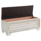 Chapel Hill Camila Storage Bed Bench in Camila White, , large