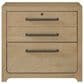 Wycliff Bay Canyon Drive Office 3-Drawer Lateral File in Natural Oak, , large