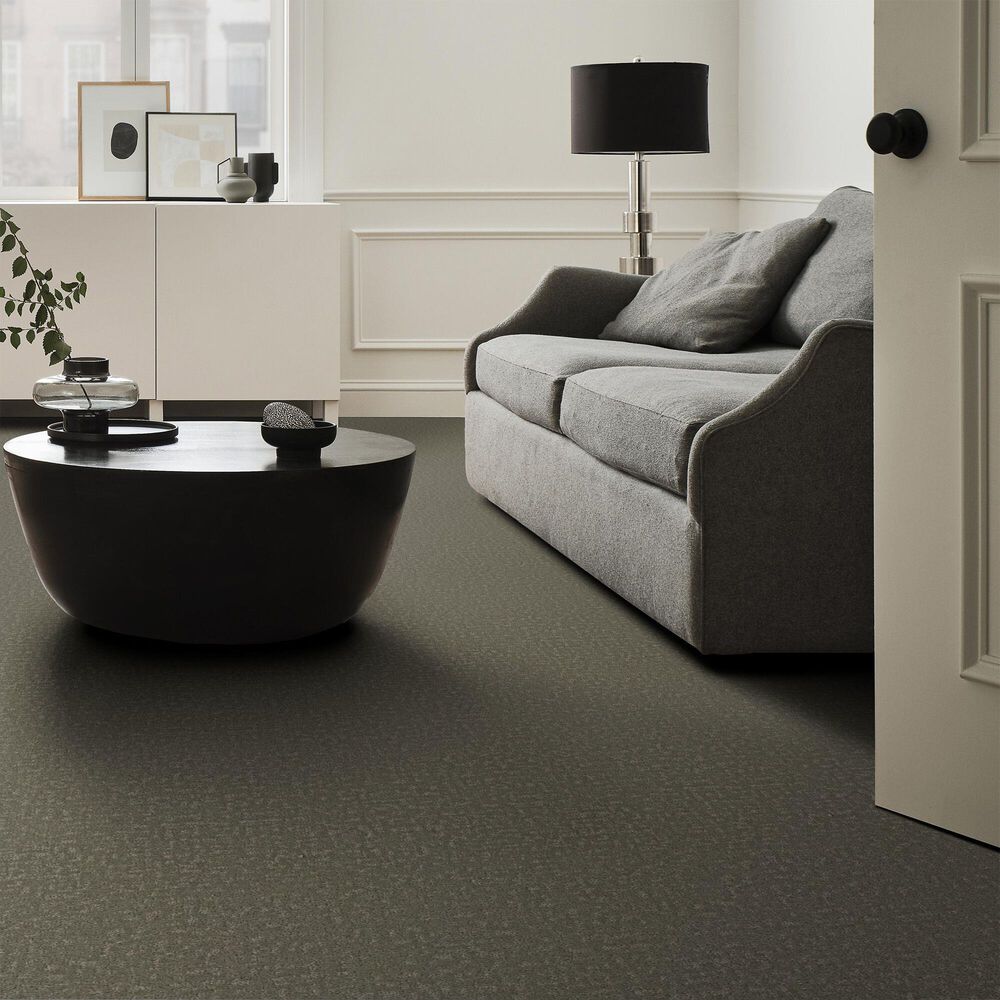 Shaw Home Within Carpet in Rerooted Nature, , large