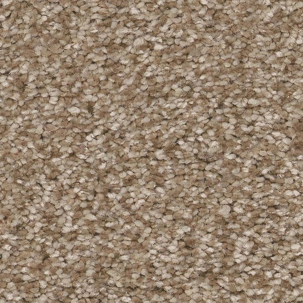 Shaw You Got This II Carpet in Worn Path, , large