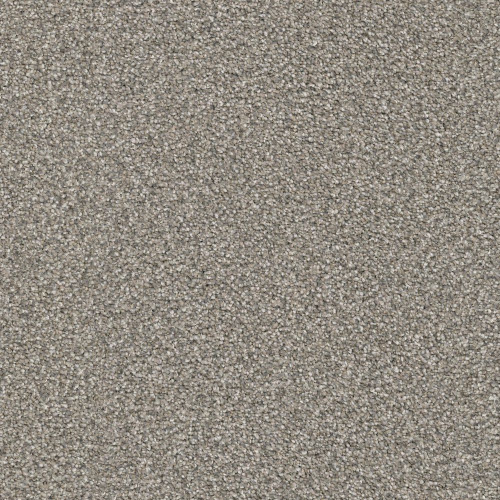 Masland Falcon Crest Carpet in Scooby, , large