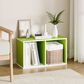 HOMLUX 2-Tier Open Shelf Bookcase in Green and White, , large