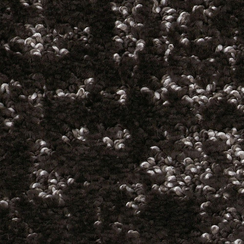 Shaw Home Within Carpet in Cafe Noir, , large