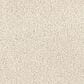 Dixie Home Gentle Wind Carpet in Dune, , large