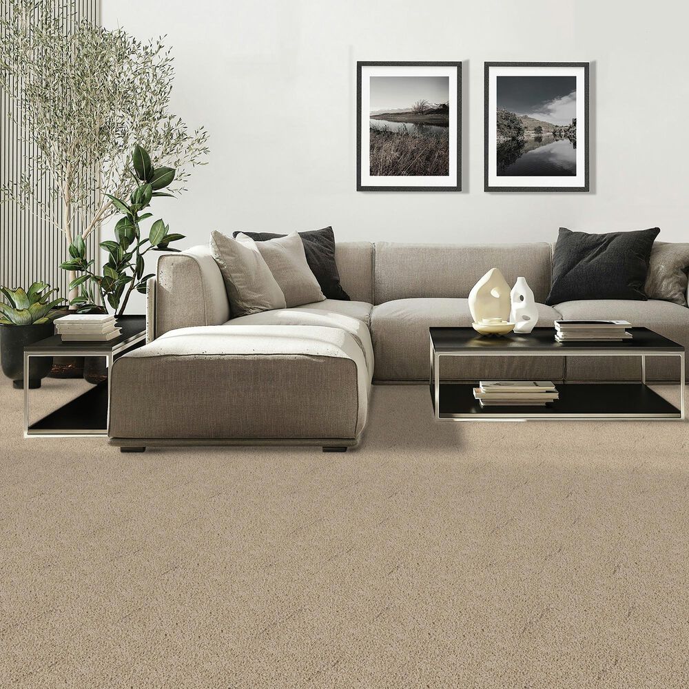 Mohawk Diffurent Choice II Carpet in Sandy beach, , large