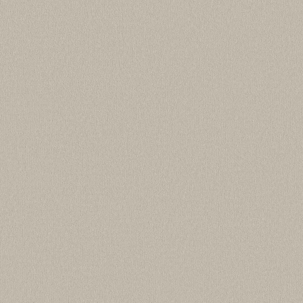 Anderson Tuftex Finery Carpet in Oyster Bar, , large