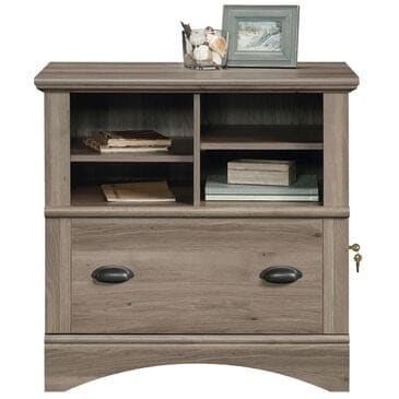 Sauder Harbor View Lateral File in Salt Oak, , large