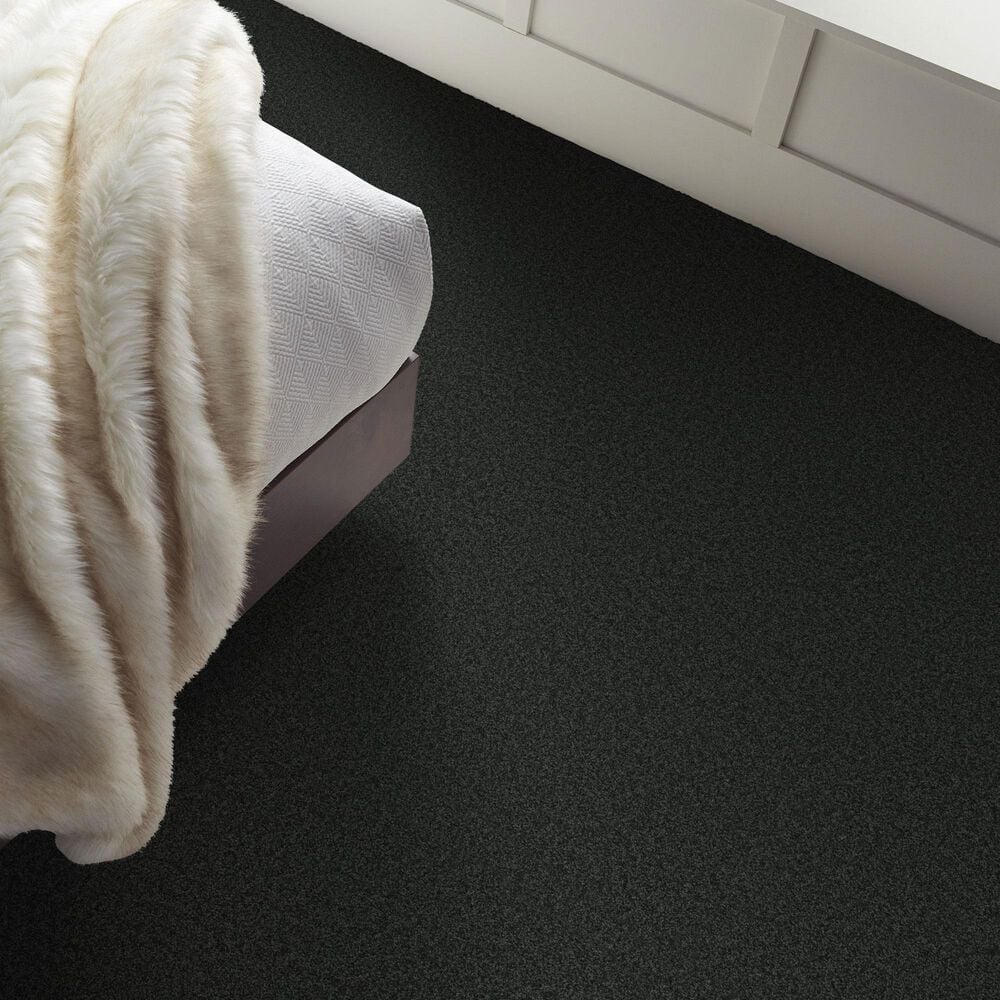 Shaw Comforting II Carpet in Top Hat, , large