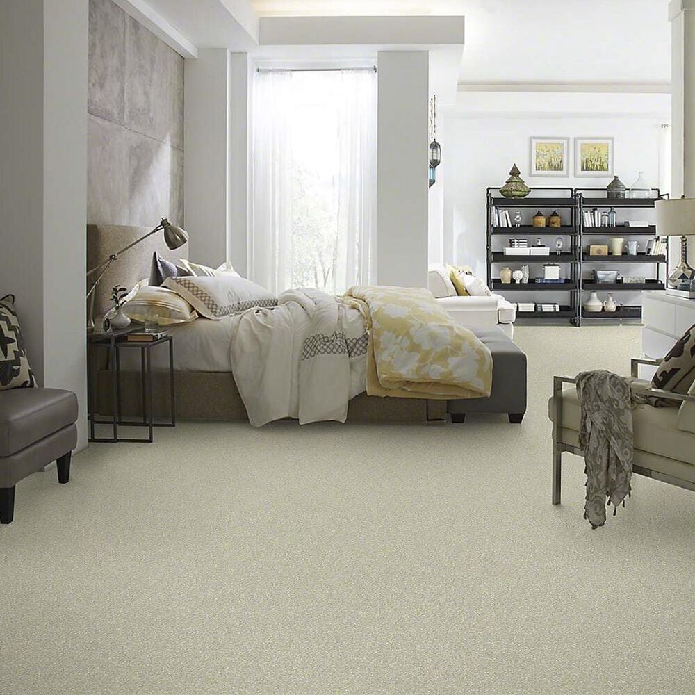 Anderson Tuftex Barracan Classic III Carpet in Celadon, , large