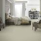 Anderson Tuftex Barracan Classic III Carpet in Celadon, , large