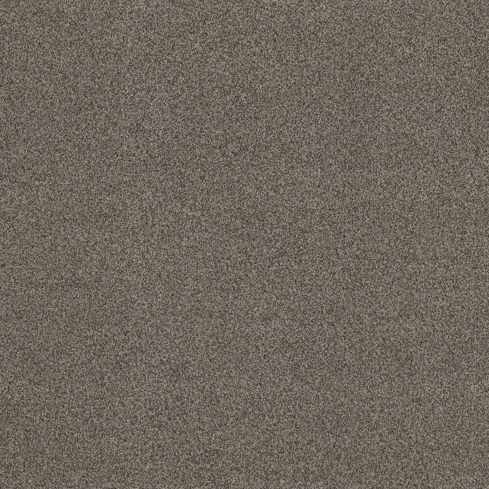 Anderson Tuftex Terra Nova Carpet in Arrowhead, , large