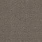 Anderson Tuftex Terra Nova Carpet in Arrowhead, , large