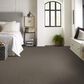 Shaw Yes You Can II Carpet in Urban Rustic, , large