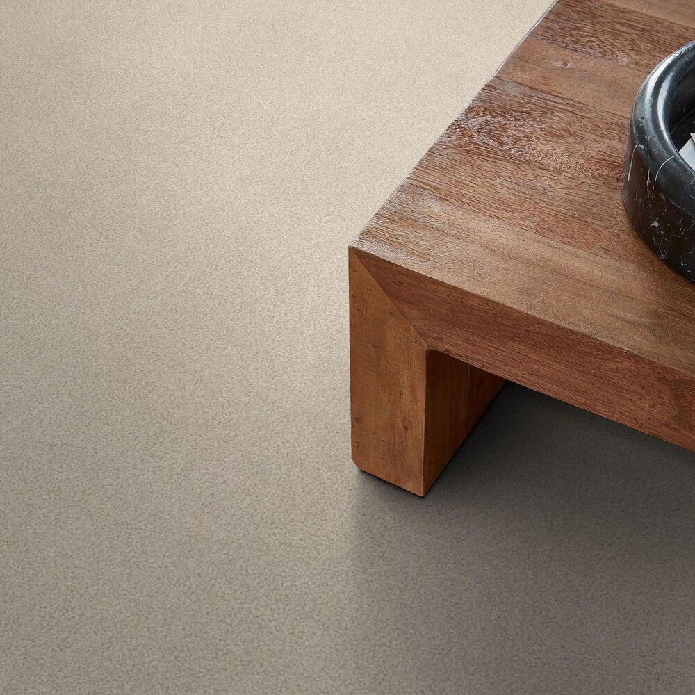 Shaw Tonal Comfort I Carpet in Happy Place, , large