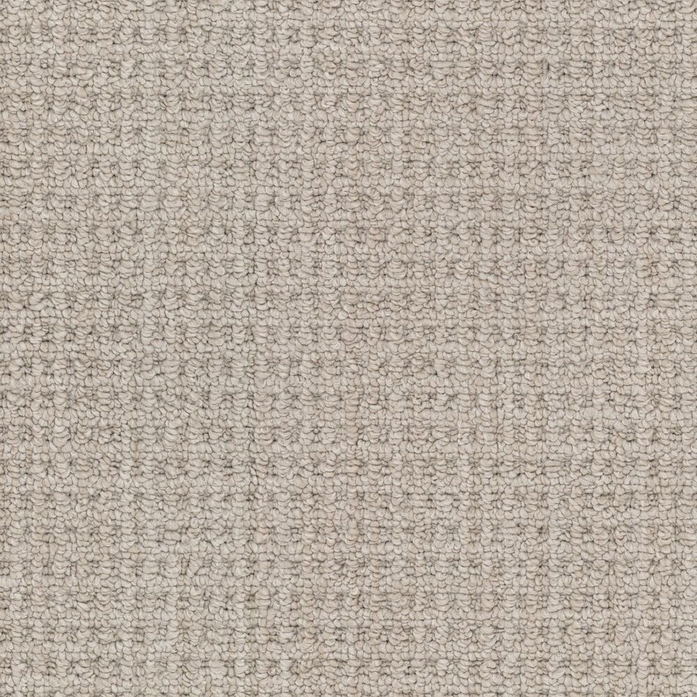 Masland Take It Easy Carpet in Bryce, , large