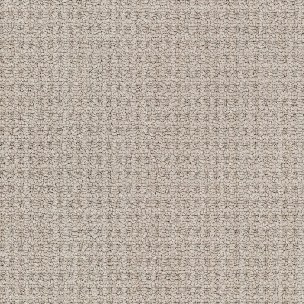 Masland Take It Easy Carpet in Bryce, , large