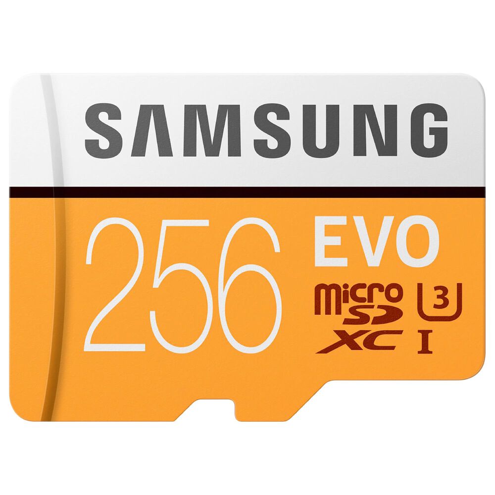 Samsung 256GB EVO microSDXC Memory Card, , large
