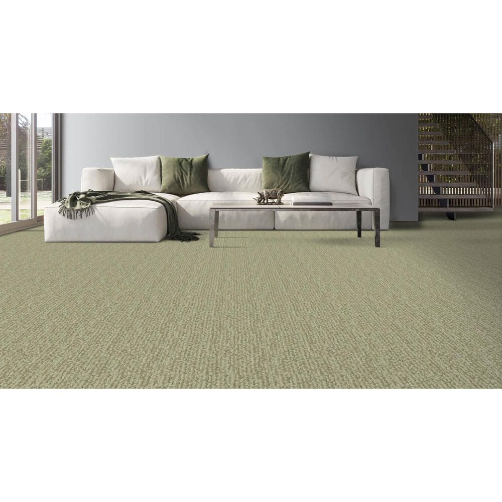 Masland Mesa Verde Carpet in Fairmont, , large