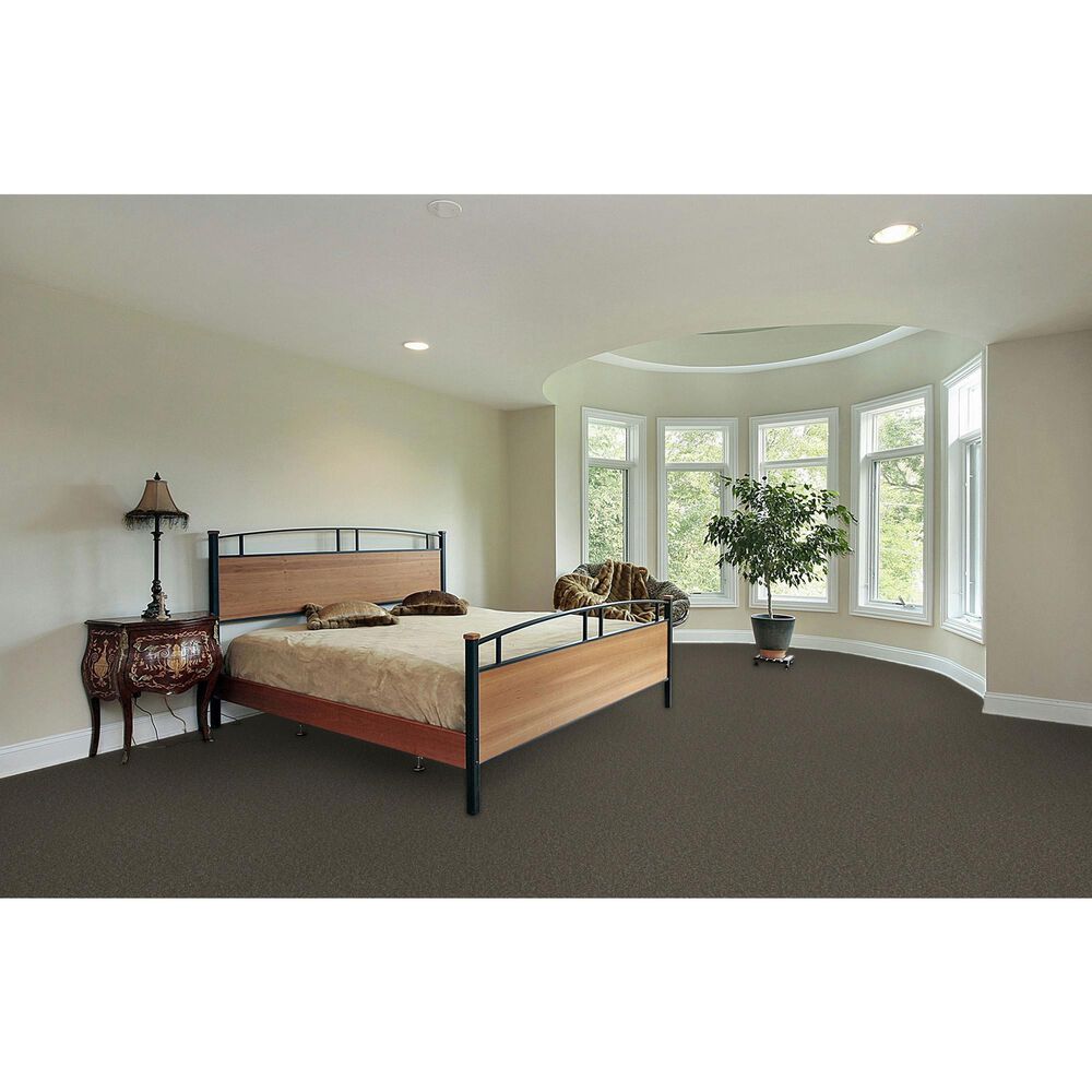 Dream Weaver Blazer III Carpet in Rugby, , large