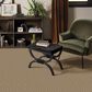 Anderson Tuftex Crochet Carpet in Plateau, , large