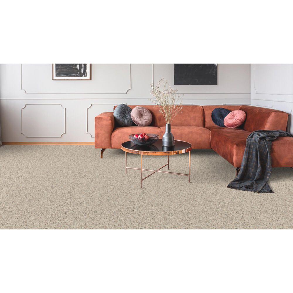 Dixie Home Bella Carpet in Pet, , large