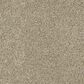 Dixie Home Main Force Carpet in Pebble, , large