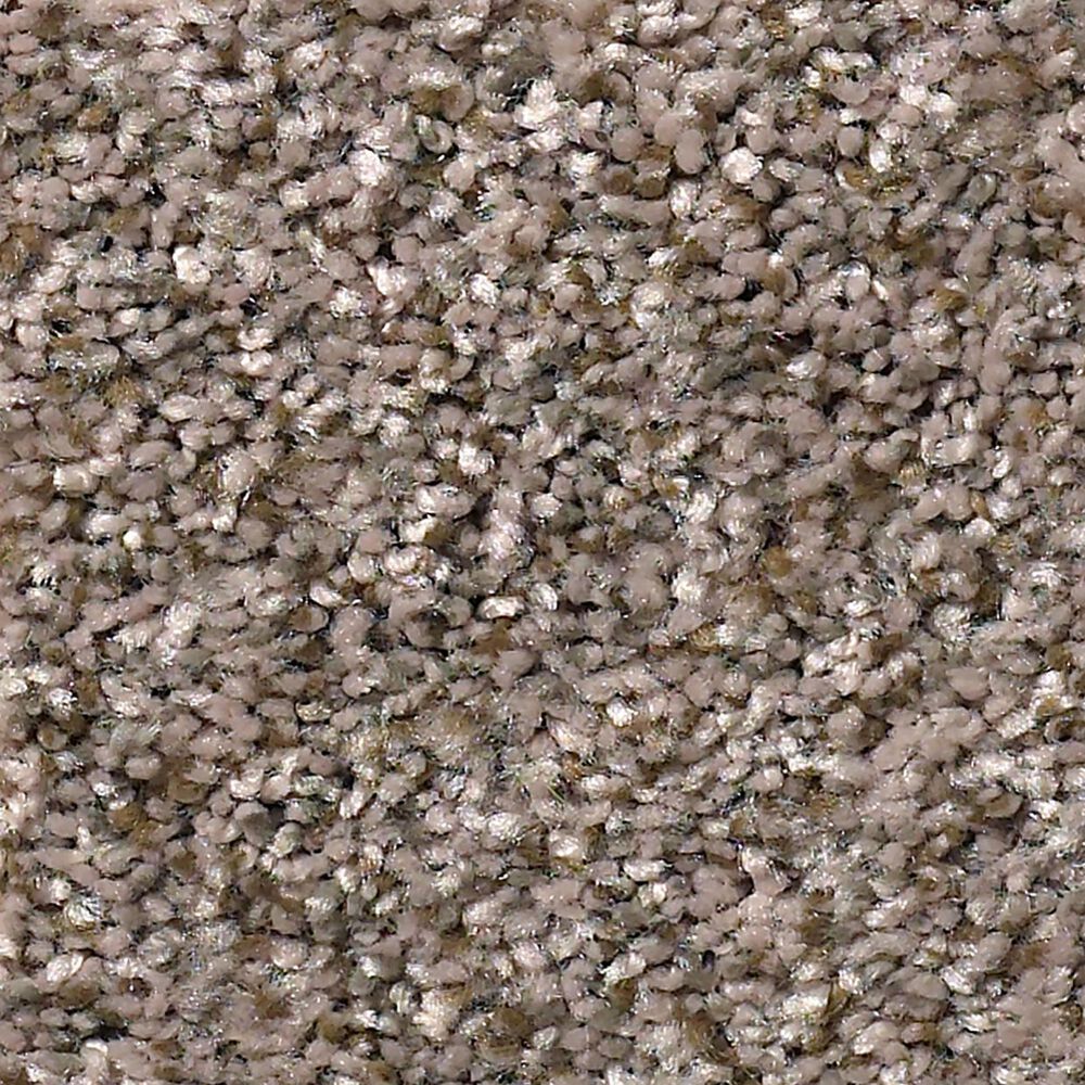 Shaw Simply the Best Cabana Life Carpet in Brown Reed, , large