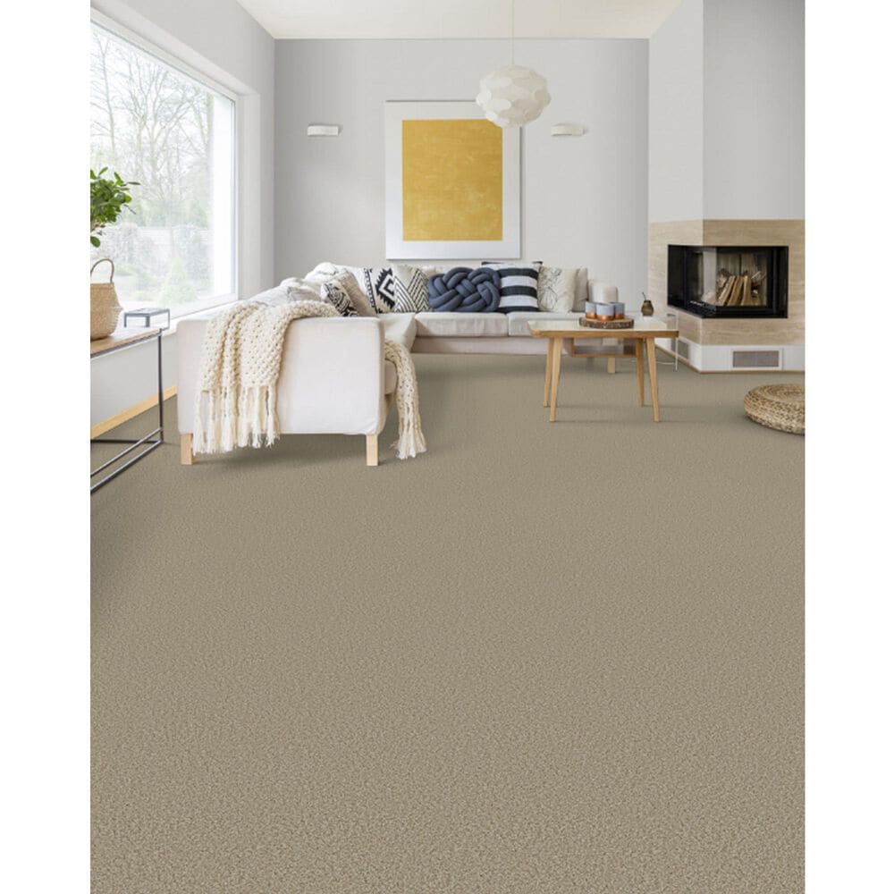 Dixie Home Outlast Carpet in Pebble, , large